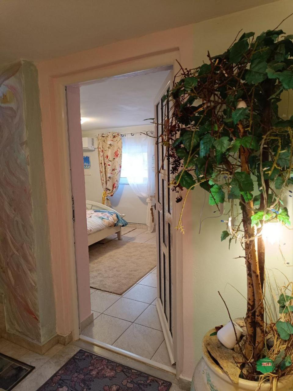 Maria Guesthouse アリヴェリ 部屋 写真